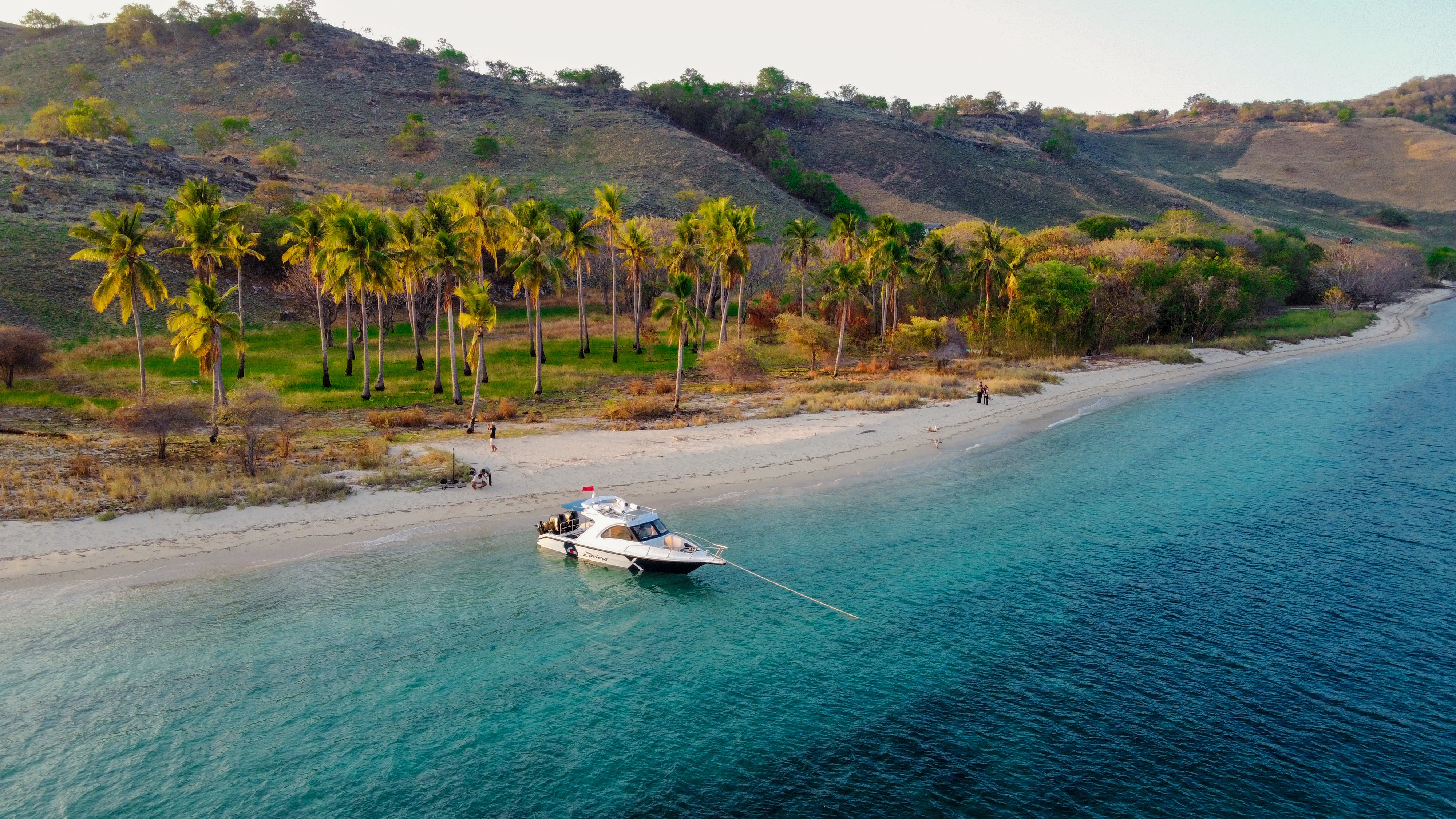 Sleek speedboat navigating through azure blue waters with pristine white sand beaches and palm trees